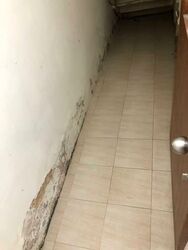 Petain Rd/ Tyrwhitt Road Conservation Area (D8), Shop House #547890841